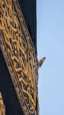 10 Nights 5 Star Umrah Package